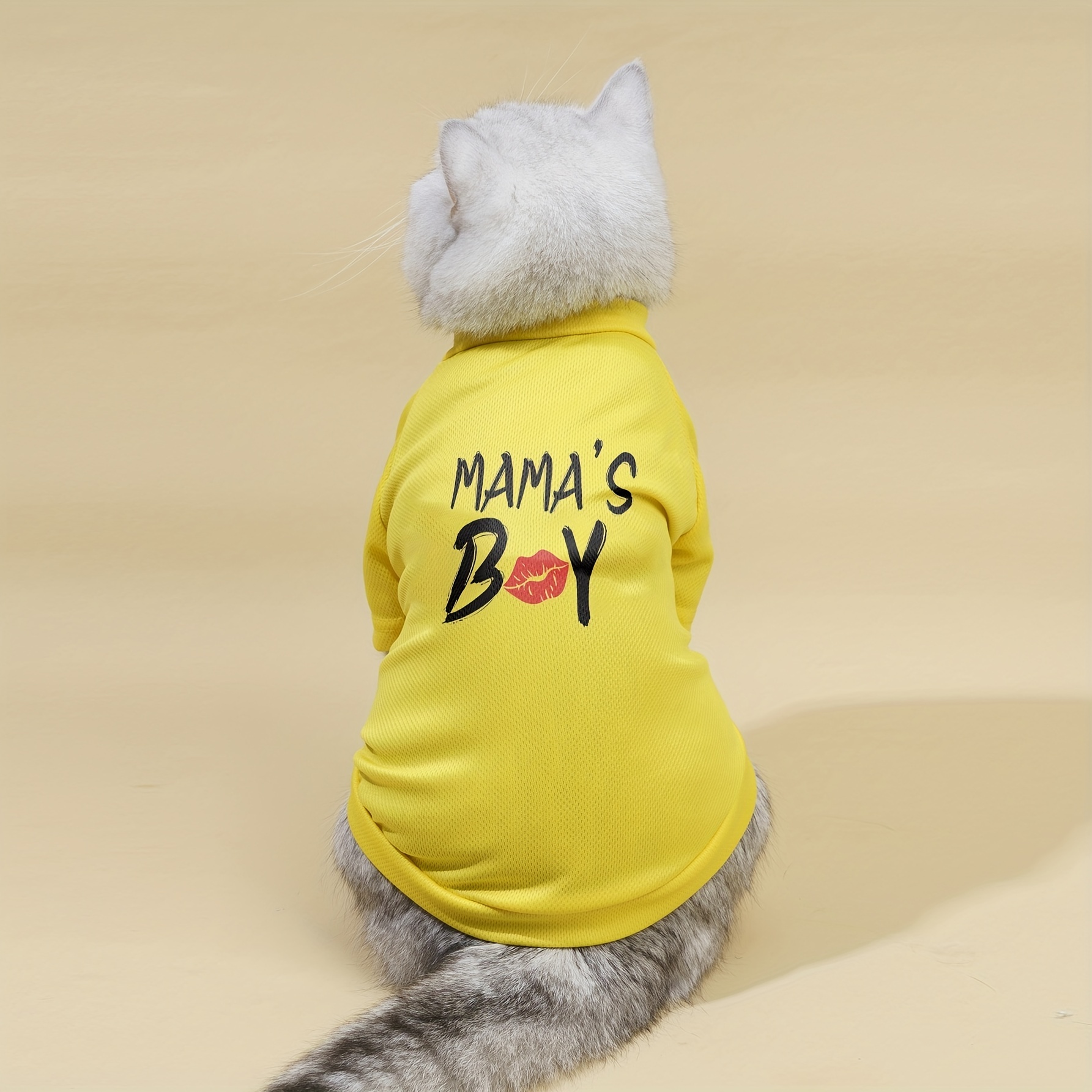 Mama's boy dog outlet shirt