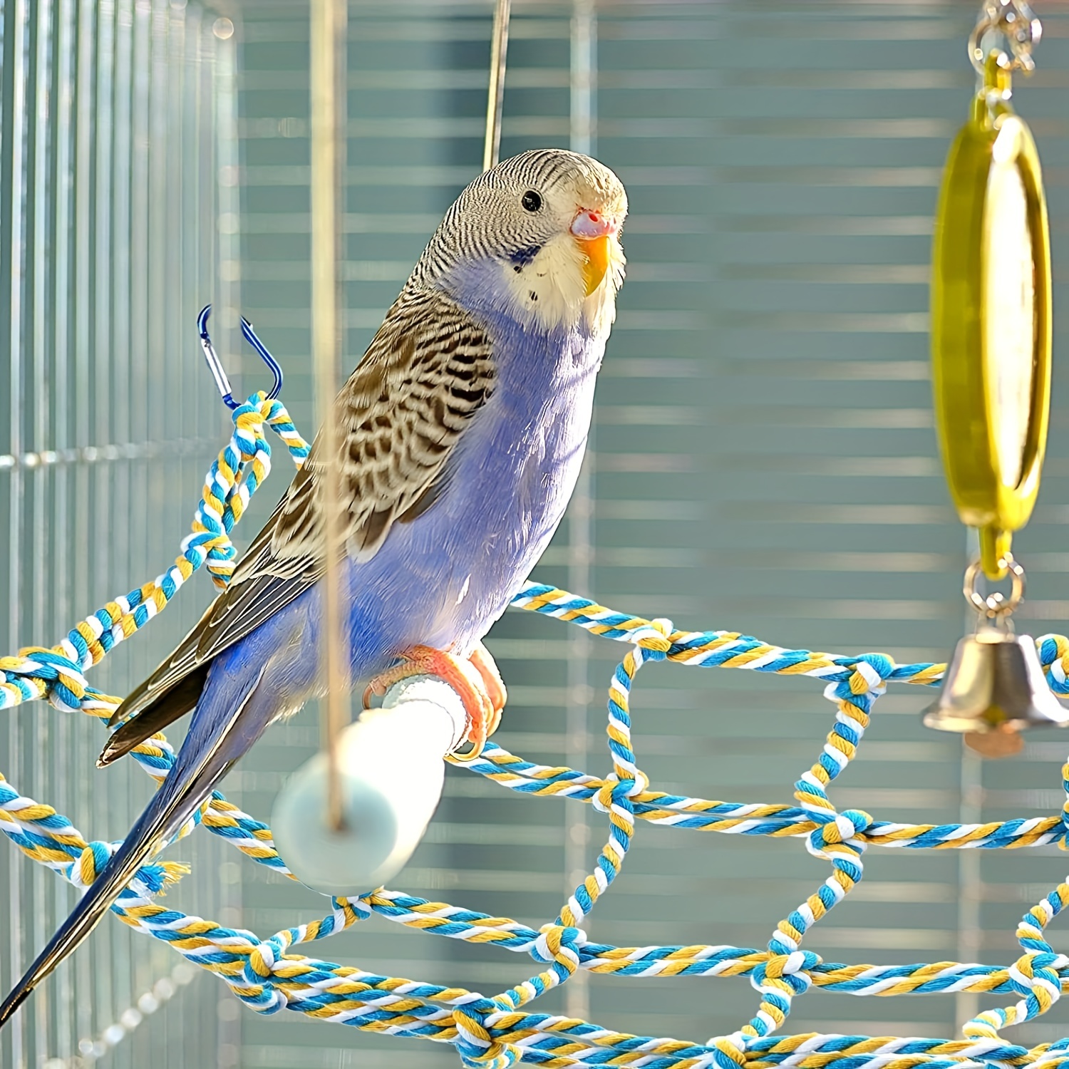 Corde Filet Escalade pour oiseau Perroquet