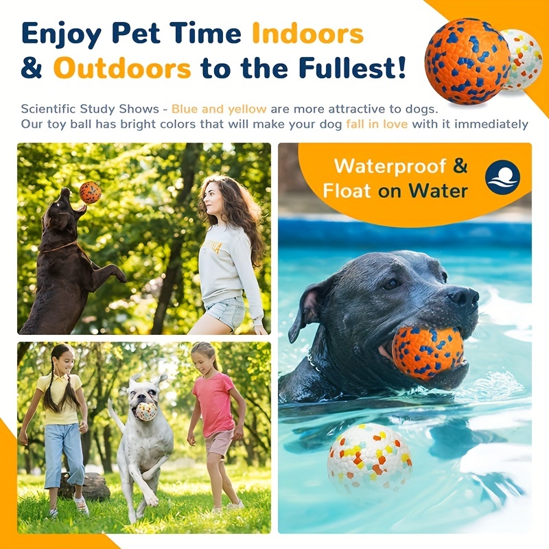 Floating Toys for Your Water-Loving Dog