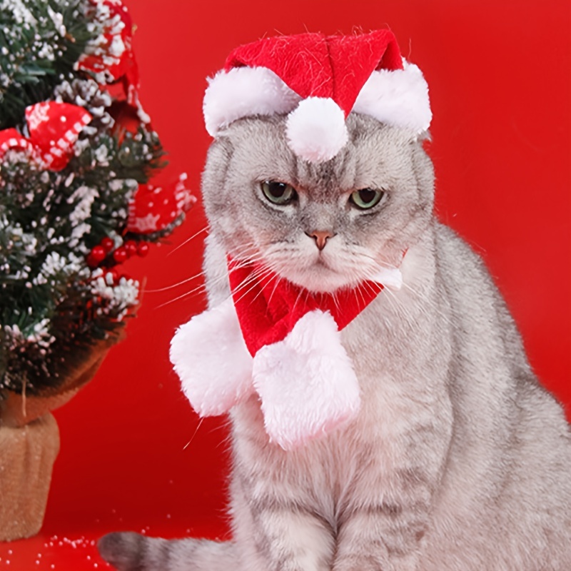 Christmas on sale cat costume