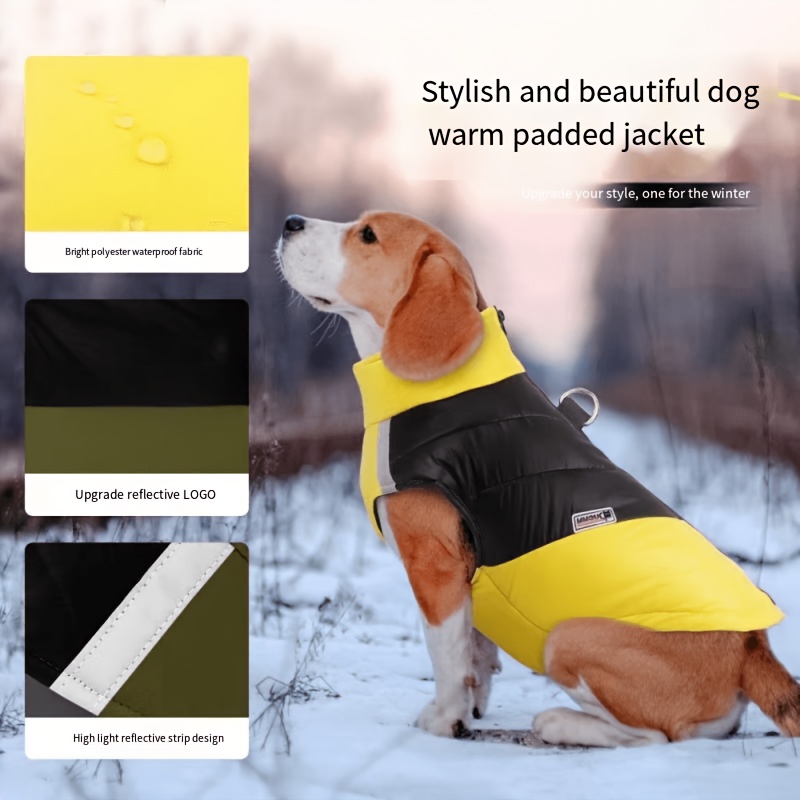 Next hot sale dog jacket