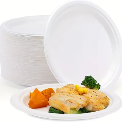 Comfy Package Disposable Kraft Uncoated Paper Plates, 9 inch Large- Unbleached