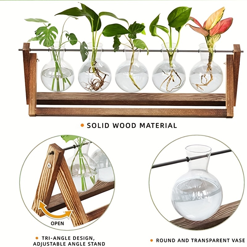 QUVIO Plante aquatique standard en bois / Vase en Verres pour plante  aquatique / Aussi