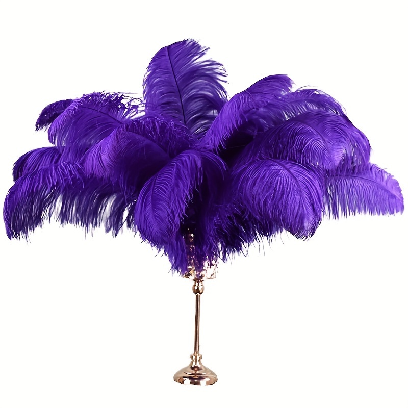 Ballinger Purple Big Ostrich Feathers - 12Pcs 14-16inch Large Feathers for  Tall Vase,Mardi Gras Party Centerpieces and Holiday Home Decor