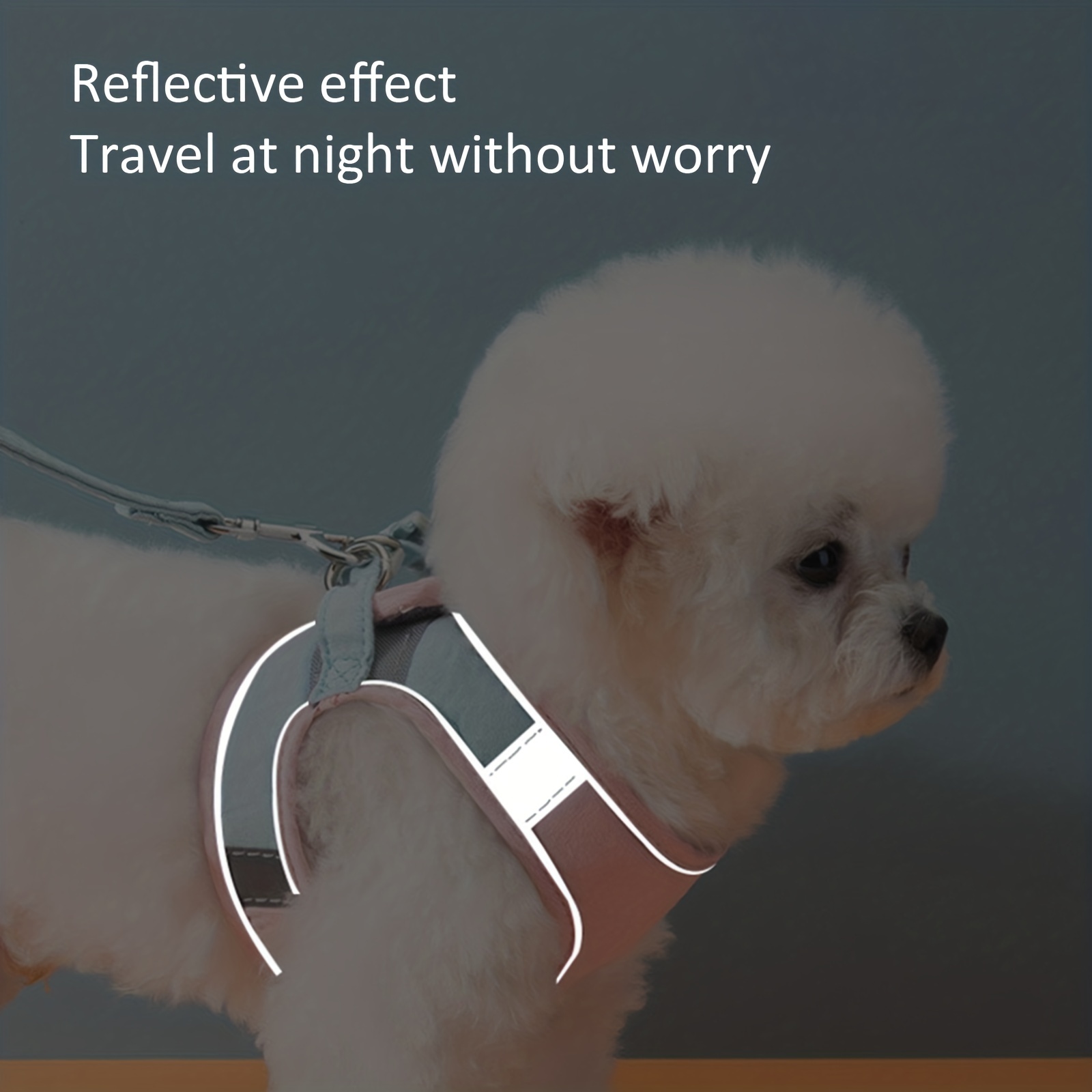 Adjustable Cat Harness And Leash Set for Kittens