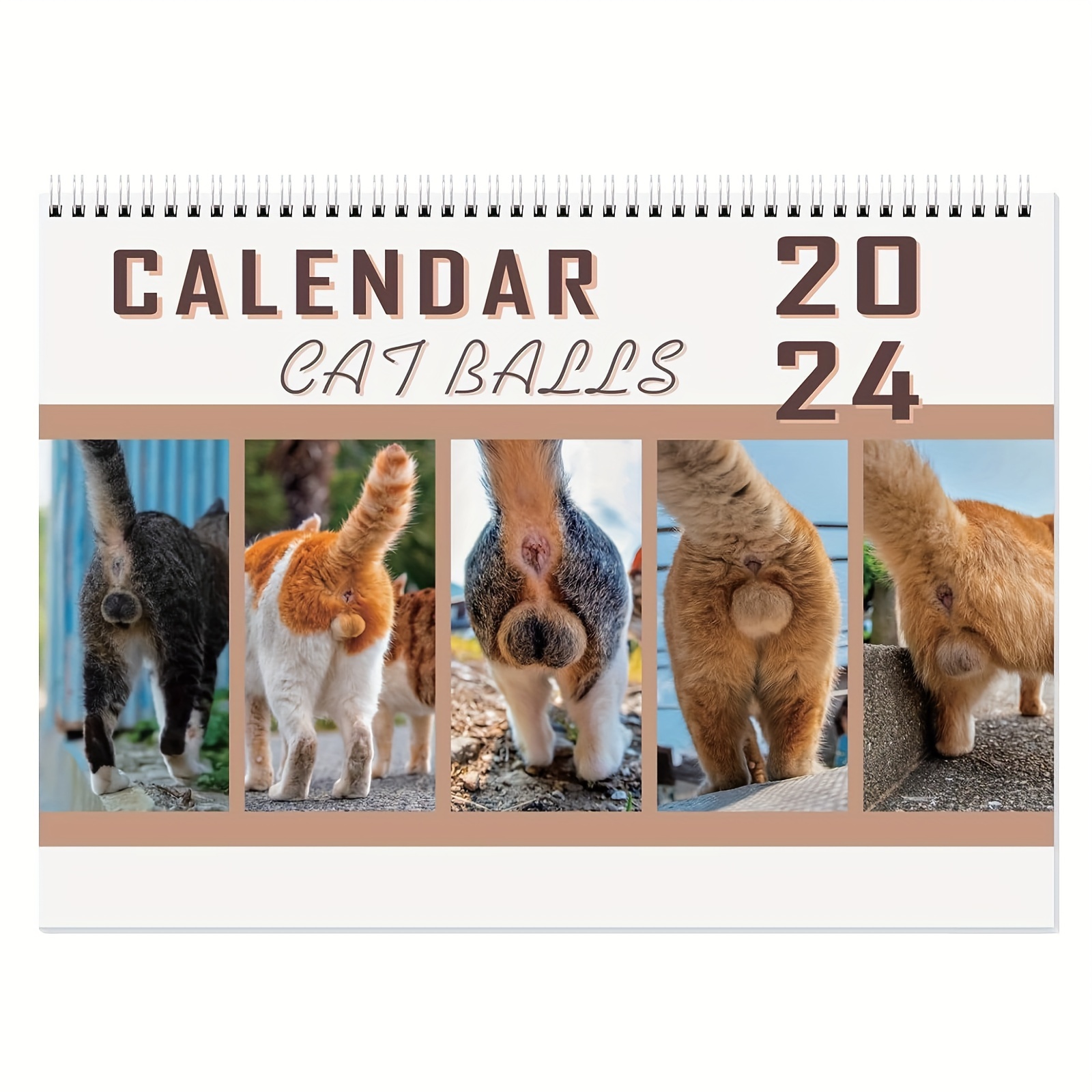 Weird Cat Calendrier 2024, calendrier amusant de chat de la