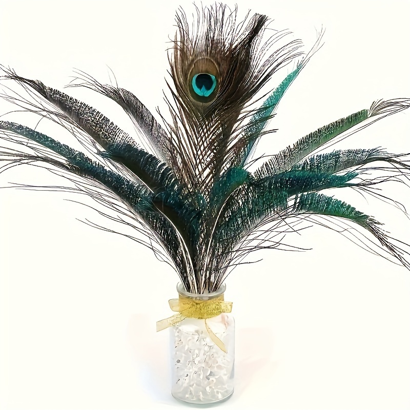 Peacock Feather for Home Decor -24 Inch (Pack of 30)