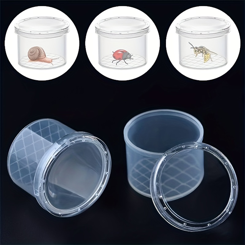 Insect Viewer Animal Cage Magnifying Insect Box Insect - Temu Canada