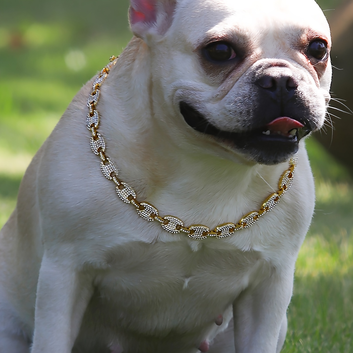 Golden Dog Chain Collar Walking Metal Chain Collar - Temu