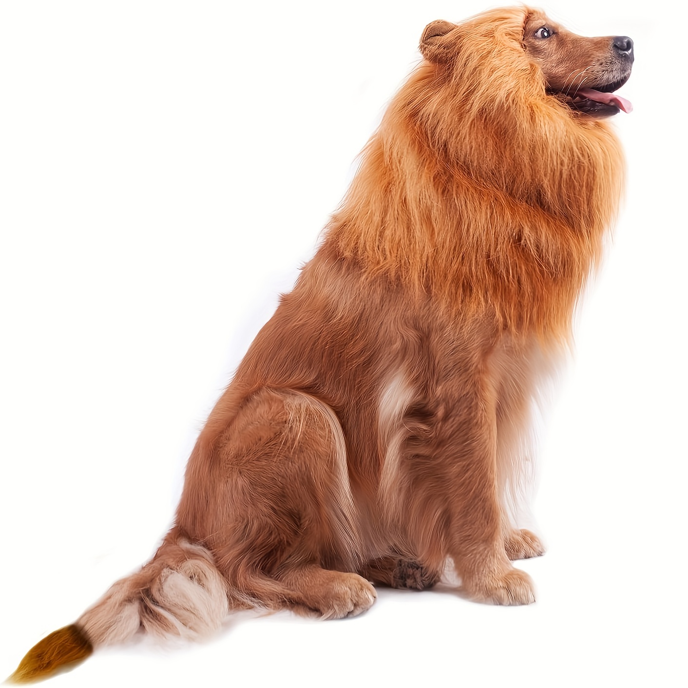 1pc lion mane for dog costumes realistic funny dog costumes lion wig for halloween christmas party pet accessories
