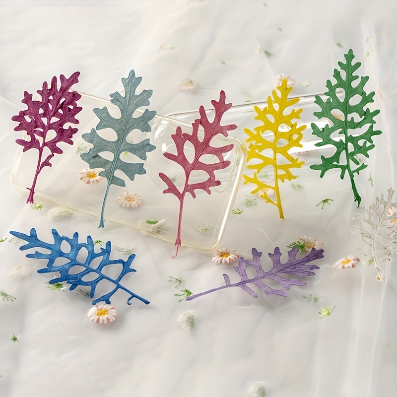 Diy Crafts Kit Real Pressed Flowers Dry Leaves Natural Herbs - Temu