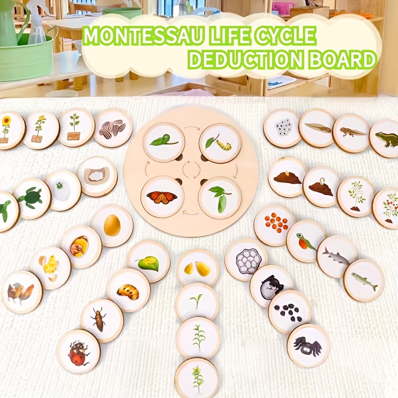 Montessori Life Cycle Board Tray Children's Game Wooden Educational  Toys Play Teaching Aids 