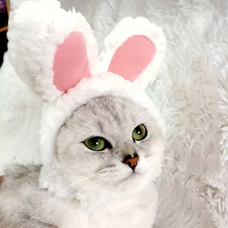 Costume d'Halloween et de Pâques pour adulte, lapin à fourrure