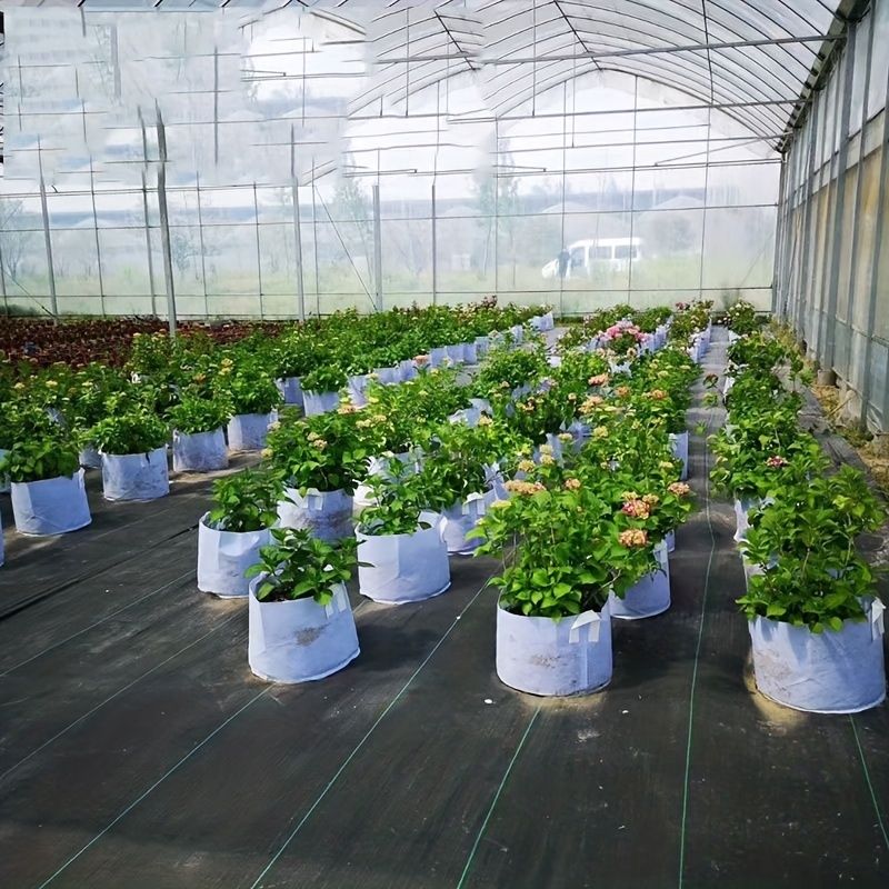 6 Pk Plant Grow Bags Fabric Pot Nursery Soil Bag with Handles Thickened  Nonwoven | Seguros Francés