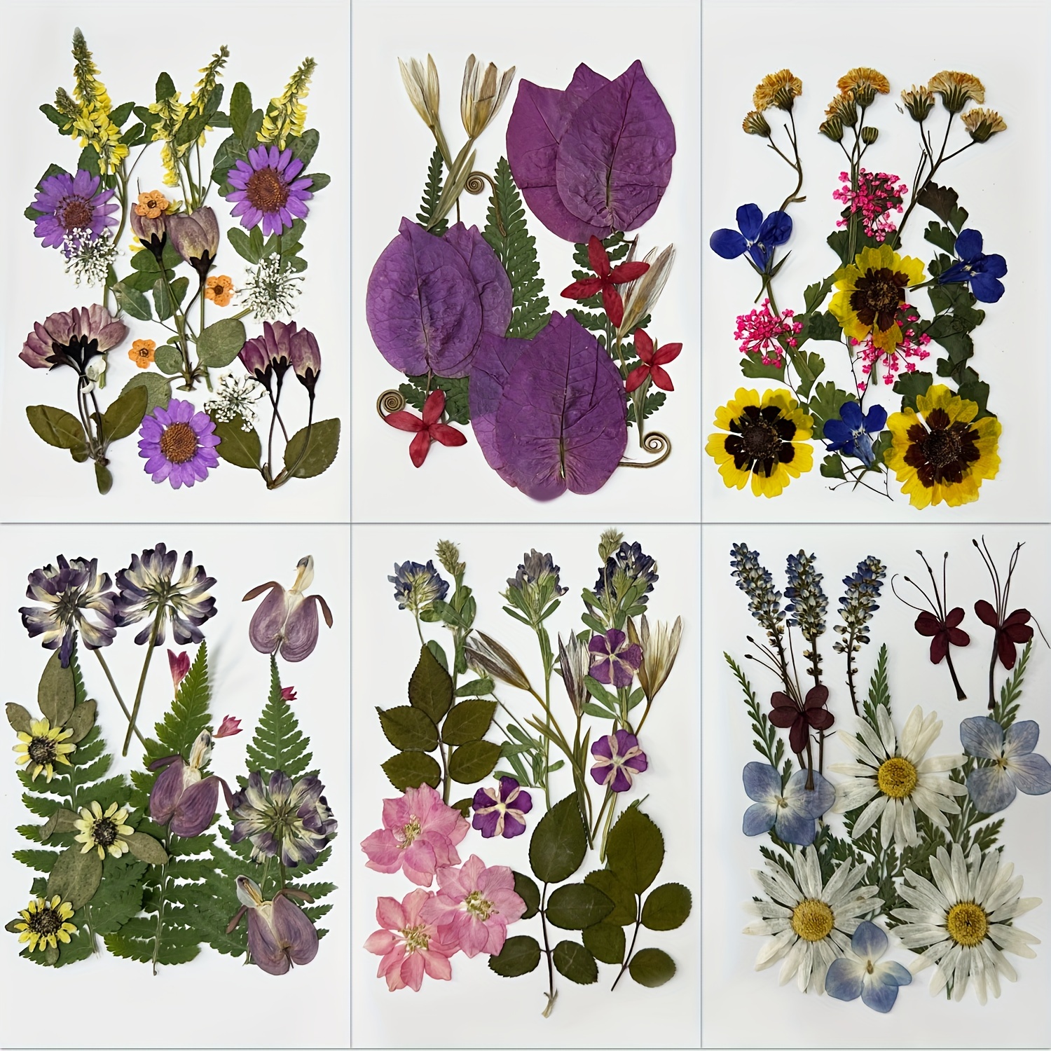 Get Floral With DIY Pressed Flower Crafts