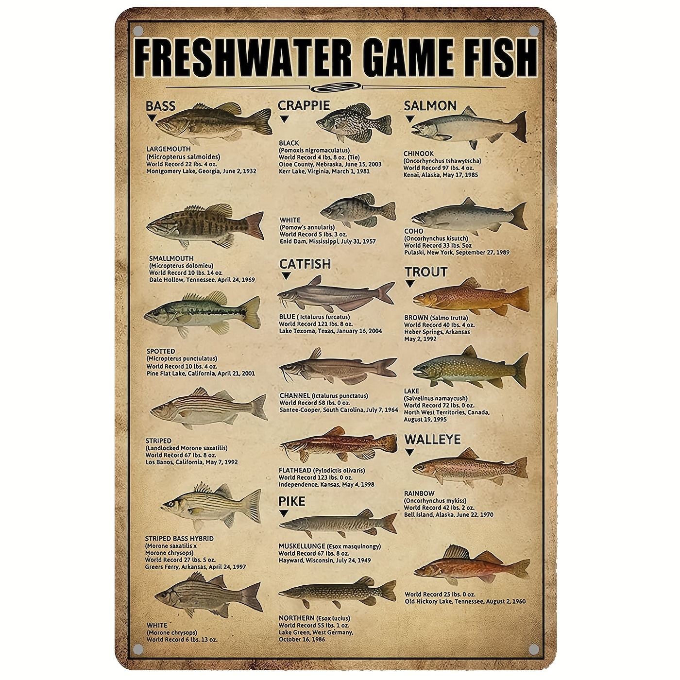 1pc, Freshwater Fish Tin Sign Vintage Fishing Wall Decor For Home Fish  Knowledge Metal Signs Rustic Cabin Hunting Decor For Boys Room Bedroom  Bathroom
