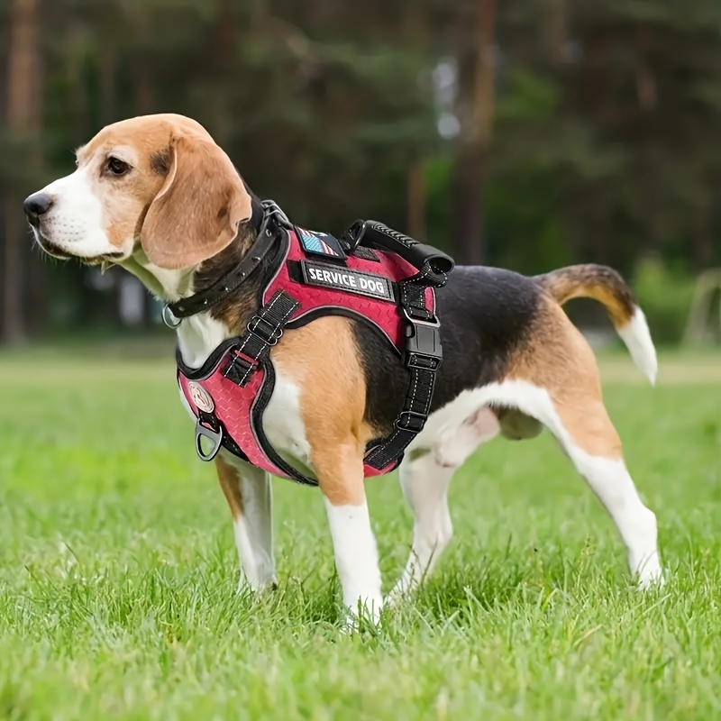 Arnés táctico para perros grandes, arnés para perro sin tirones con asa,  arnés ajustable para perro de fácil paseo, para entrenamiento, caminar