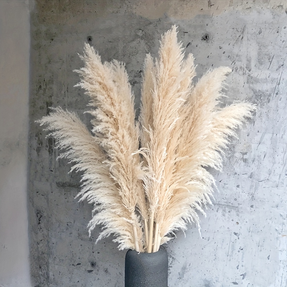 5PCS Dried Pampas Grass Reed Plume Decorative Feather Flower Arrangement  Beach Theme Decor,small Centerpiece 