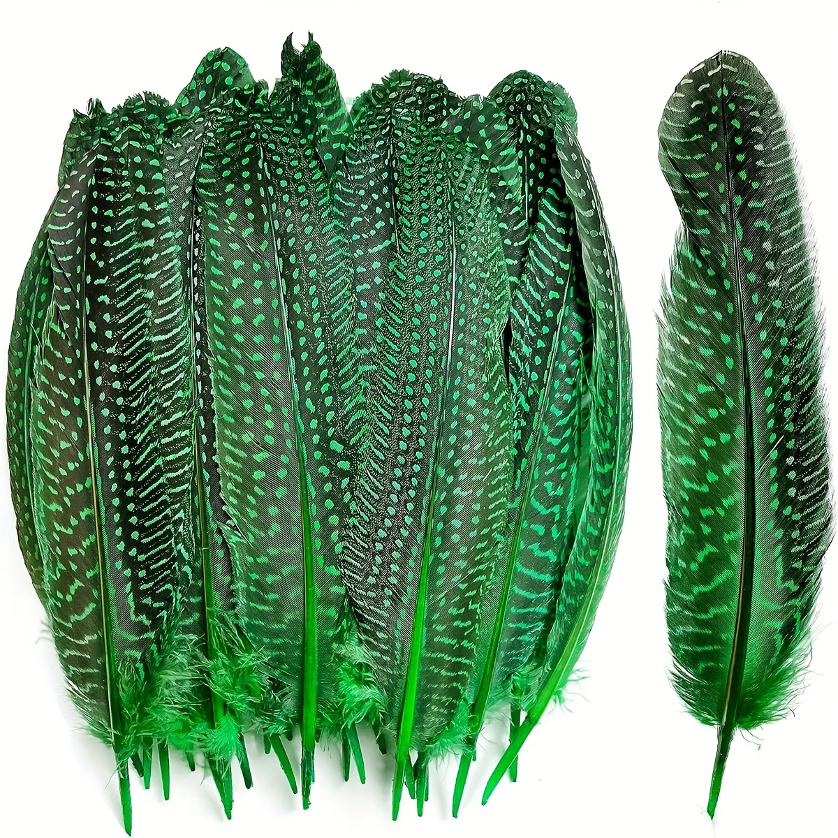 Natural Guinea Wing Plumage Feather For Diy Craft Jewelry - Temu