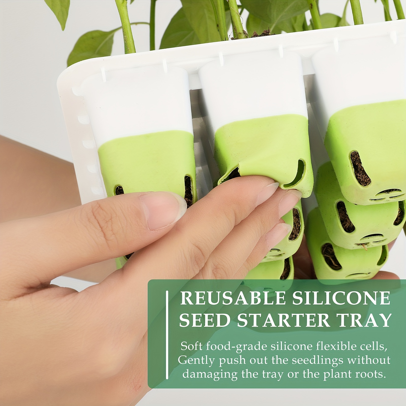 Vente Ensemble de démarrage de graines PVC avec 12 cellules, contrôle de  l'humidité réglable, semis de germination de semis de plantes d'intérieur,  couvercle surélevé, matériaux durables et drainage amélioré (ensemble de 5)  