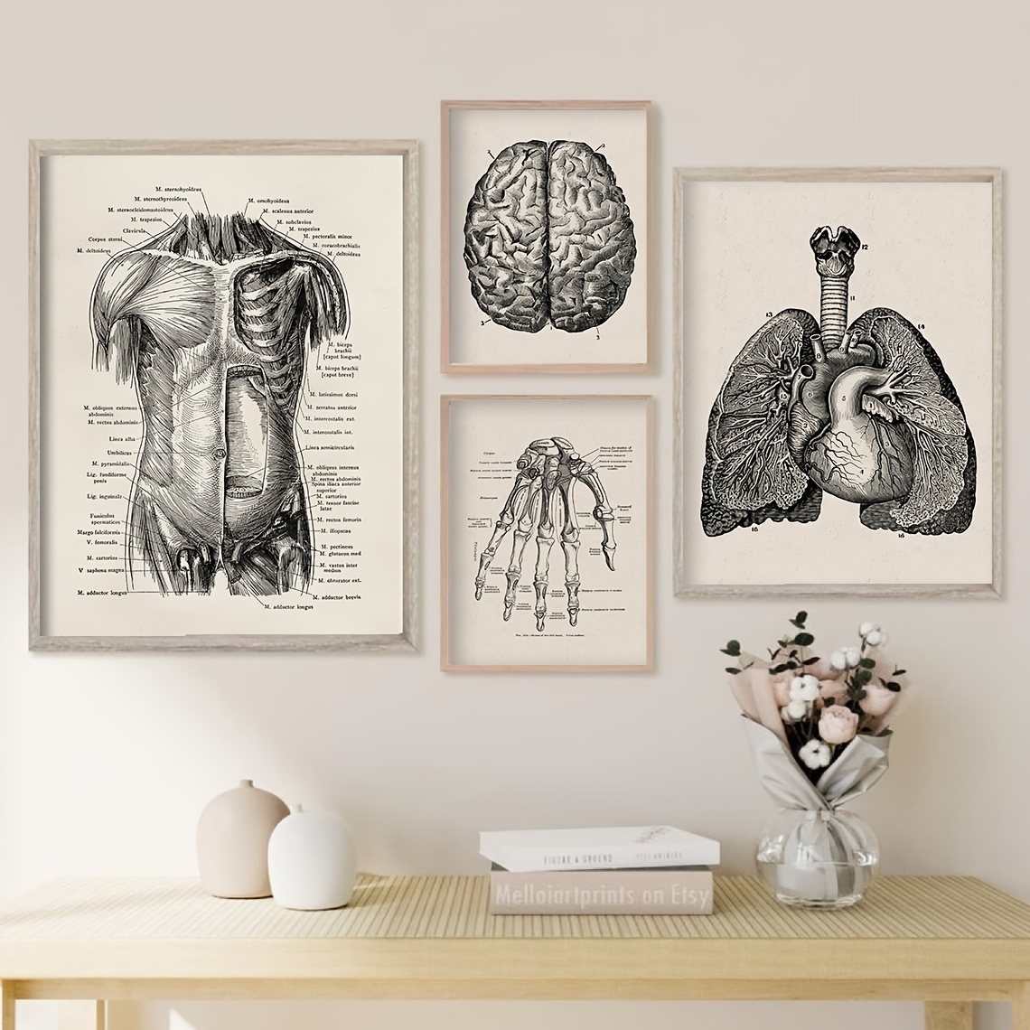 Anatomical Organ Vintage Poster Human Anatomy Prints Painting Brain Heart  Lung Anatomy Poster Wall Art Picture Medical Room Decor Unframed | Shopee  Philippines