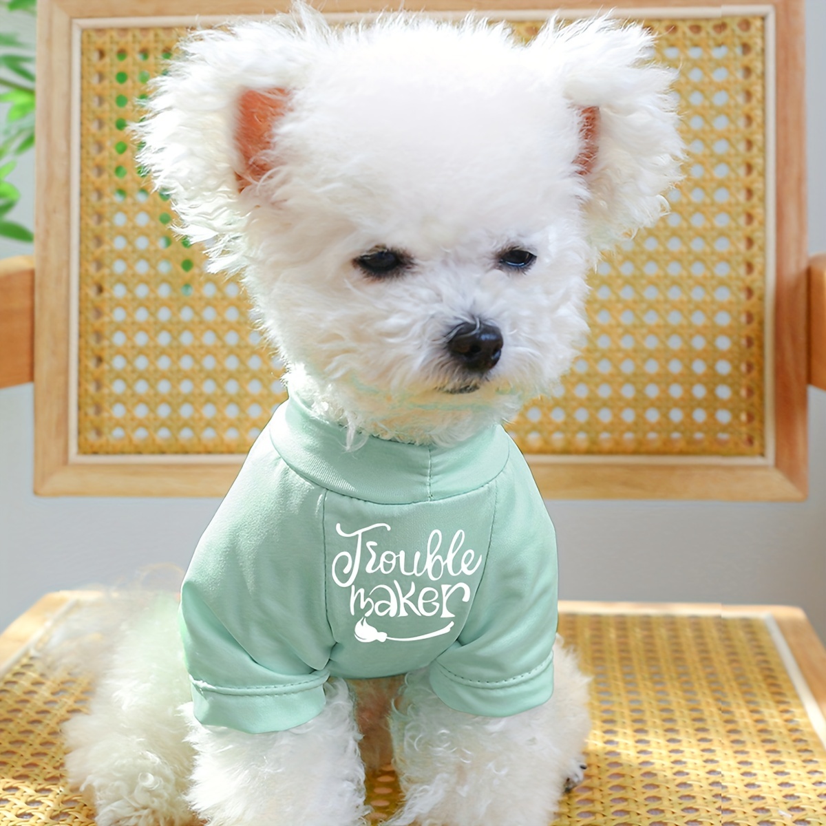 Pet Dog Lovely dog mannequin, Dog Sewing Model,Small Dog Clothes