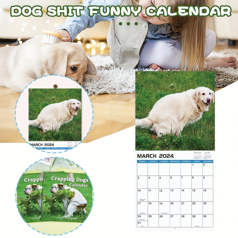 Calendrier 2024 Chiens Font Caca Beaux Endroits Calendrier - Temu