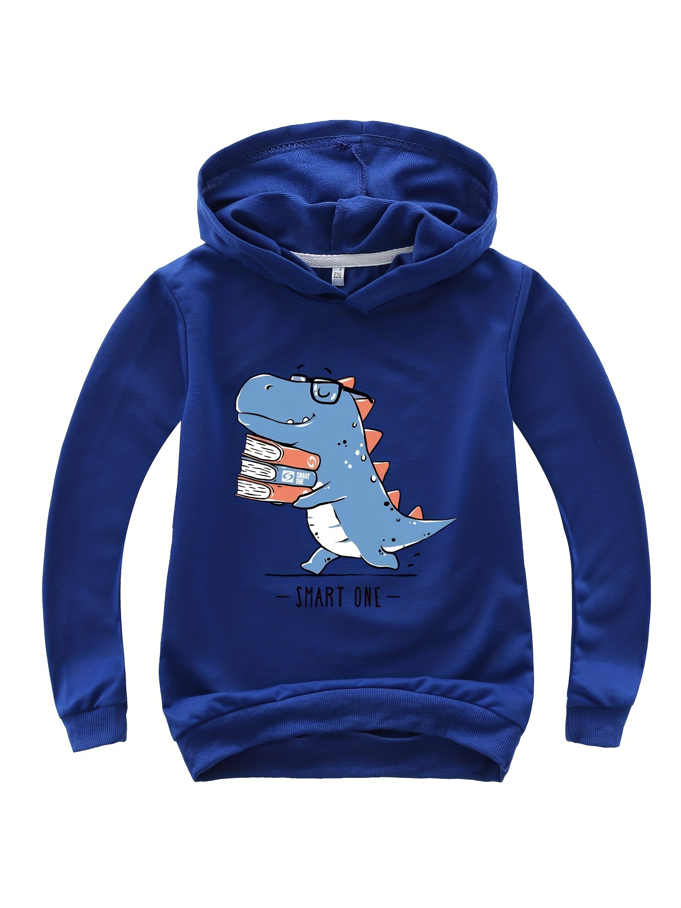 Cute dinosaur sale hoodie