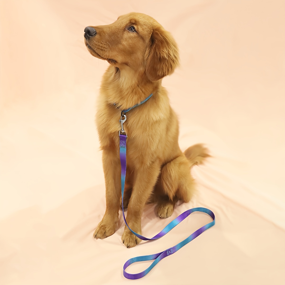 Colorful Dog Leash, Durable Polyester for Indoor & Outdoor Use