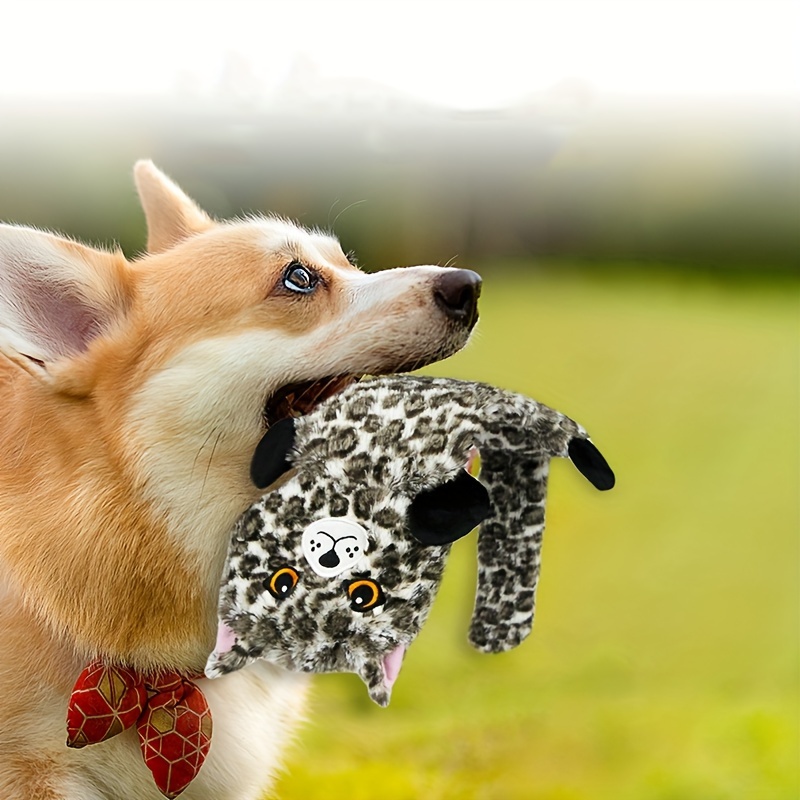 son zorros mascotas como perros