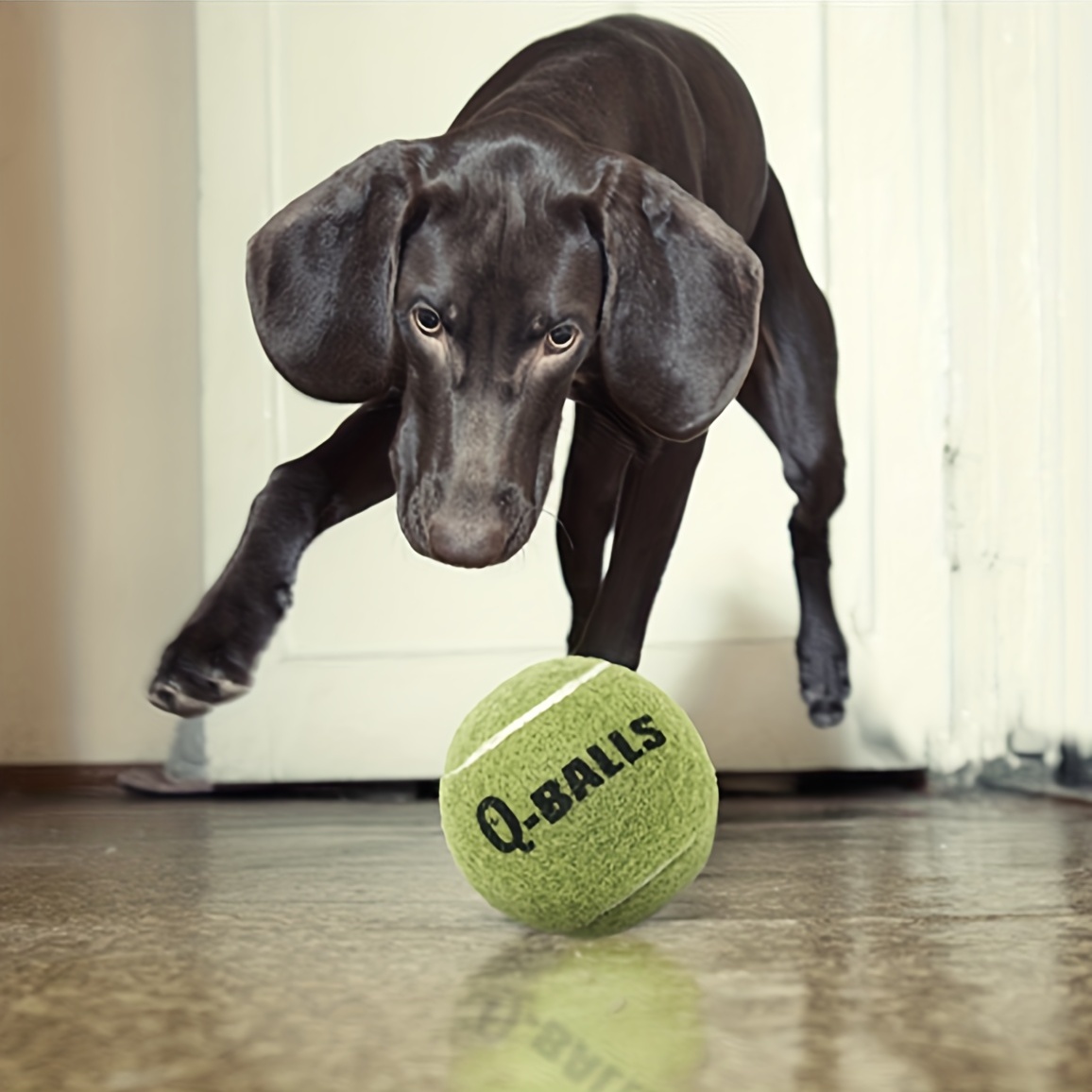 Pelotas para perros para masticadores agresivos, mini pelotas de tenis para  perros de raza pequeña, pelotas flotantes indestructibles para perros
