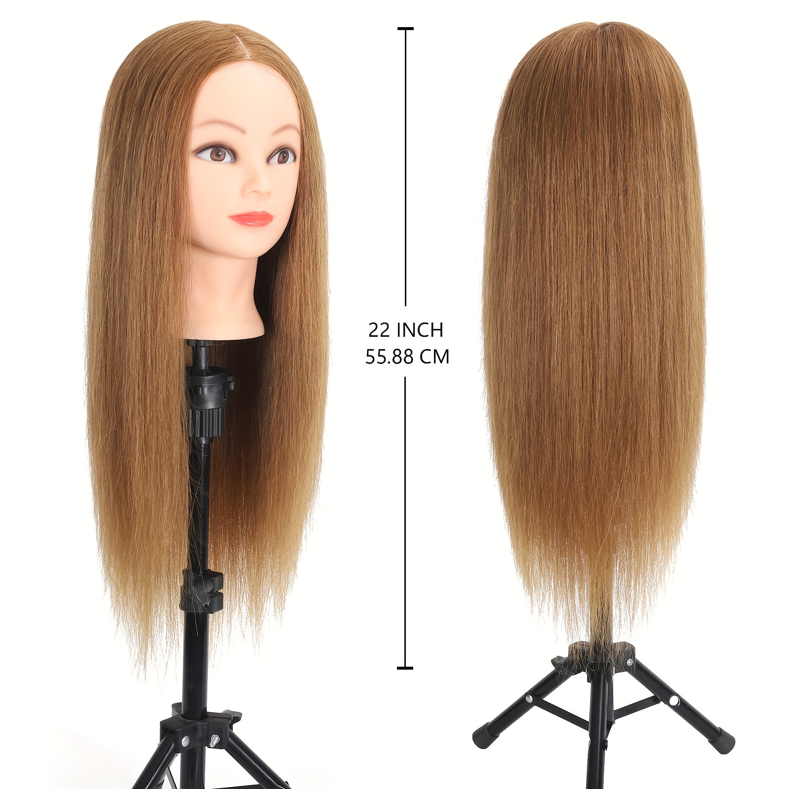 Mannequin Head With 100% Human Hair, Real Hair Cosmetology Mannequin Head  Hair Styling Hairdressing Practice Training Doll Head