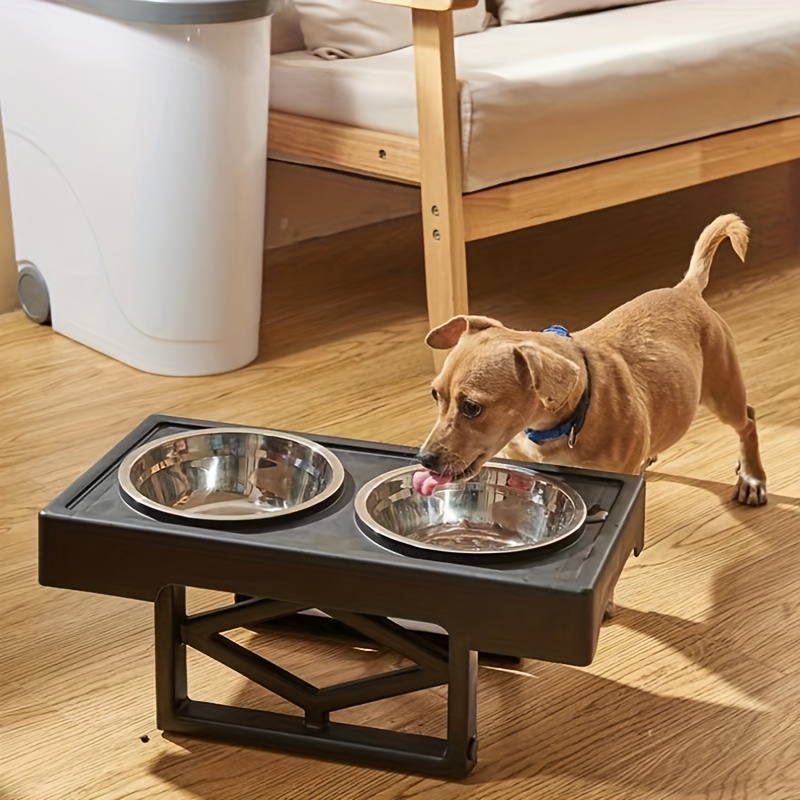 Raised Dog Bowl - Adjustable Heights For Small & Large Dogs - Slow Feeding  Bowl For Cats & Dogs - Temu