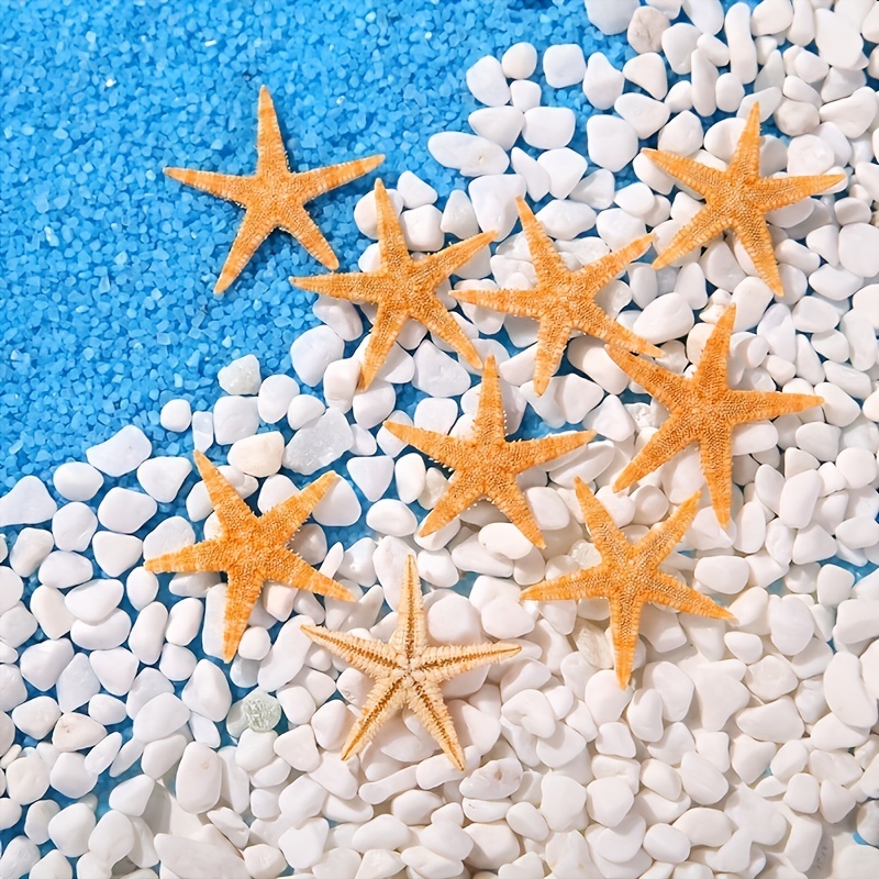 Sea Decoration Decoration, Natural Starfish Shells