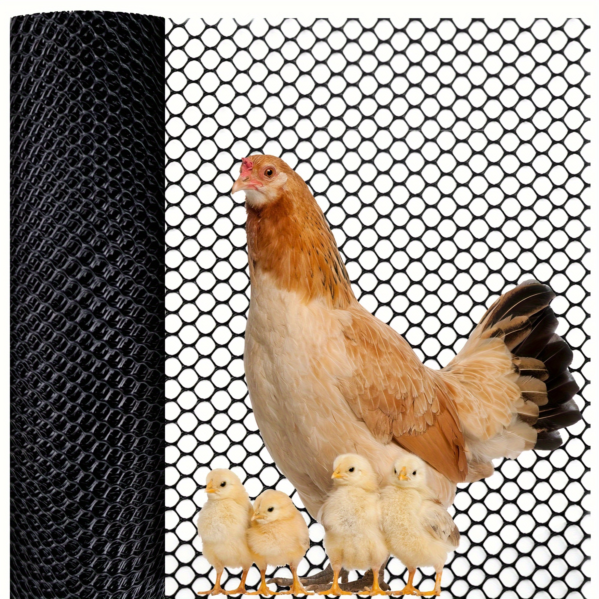 Chicken Net - Temu