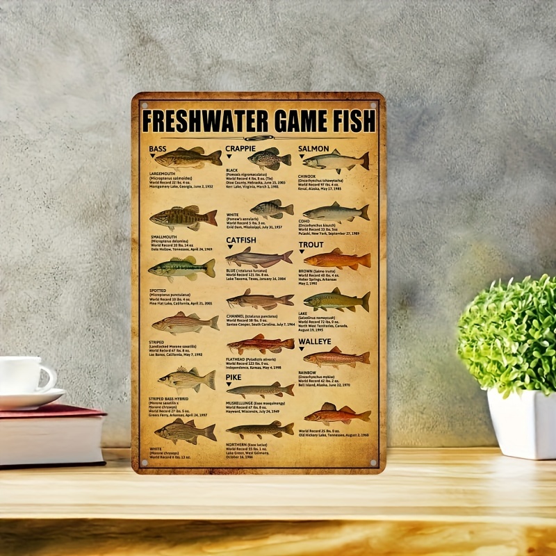 Freshwater Fish Tin Sign Vintage Fishing Wall Decor Home - Temu