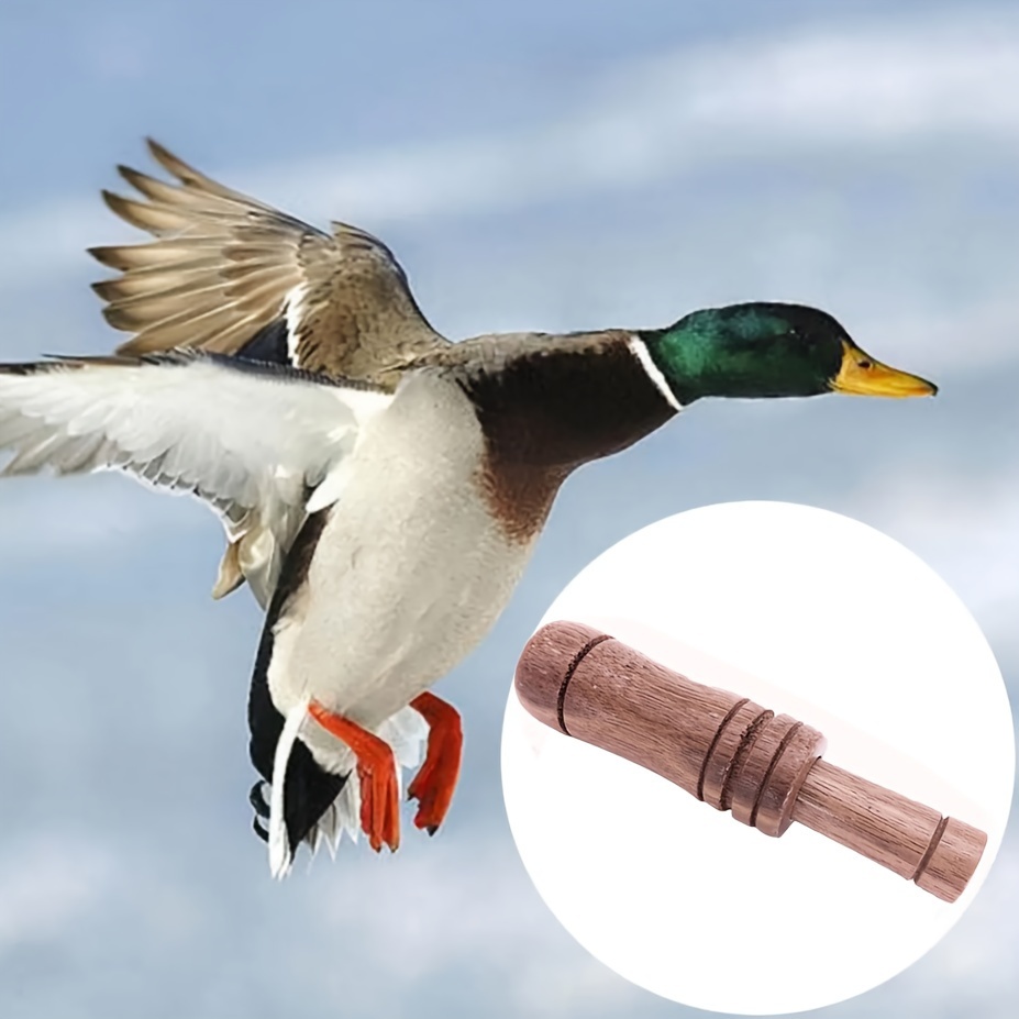 duck bait Wholesale For Your Hunting Expedition 