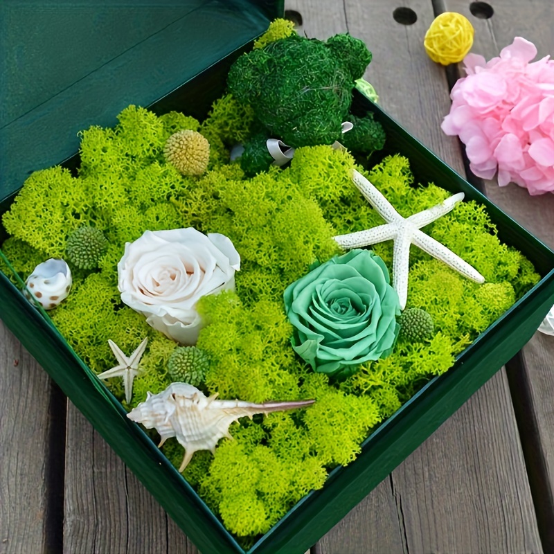 40/80g Bag Dry Real Natural Green Artificial Fake Moss Lawn Flower DIY  Accessories Decorative Plant Grass Household Flower Pot Decoration