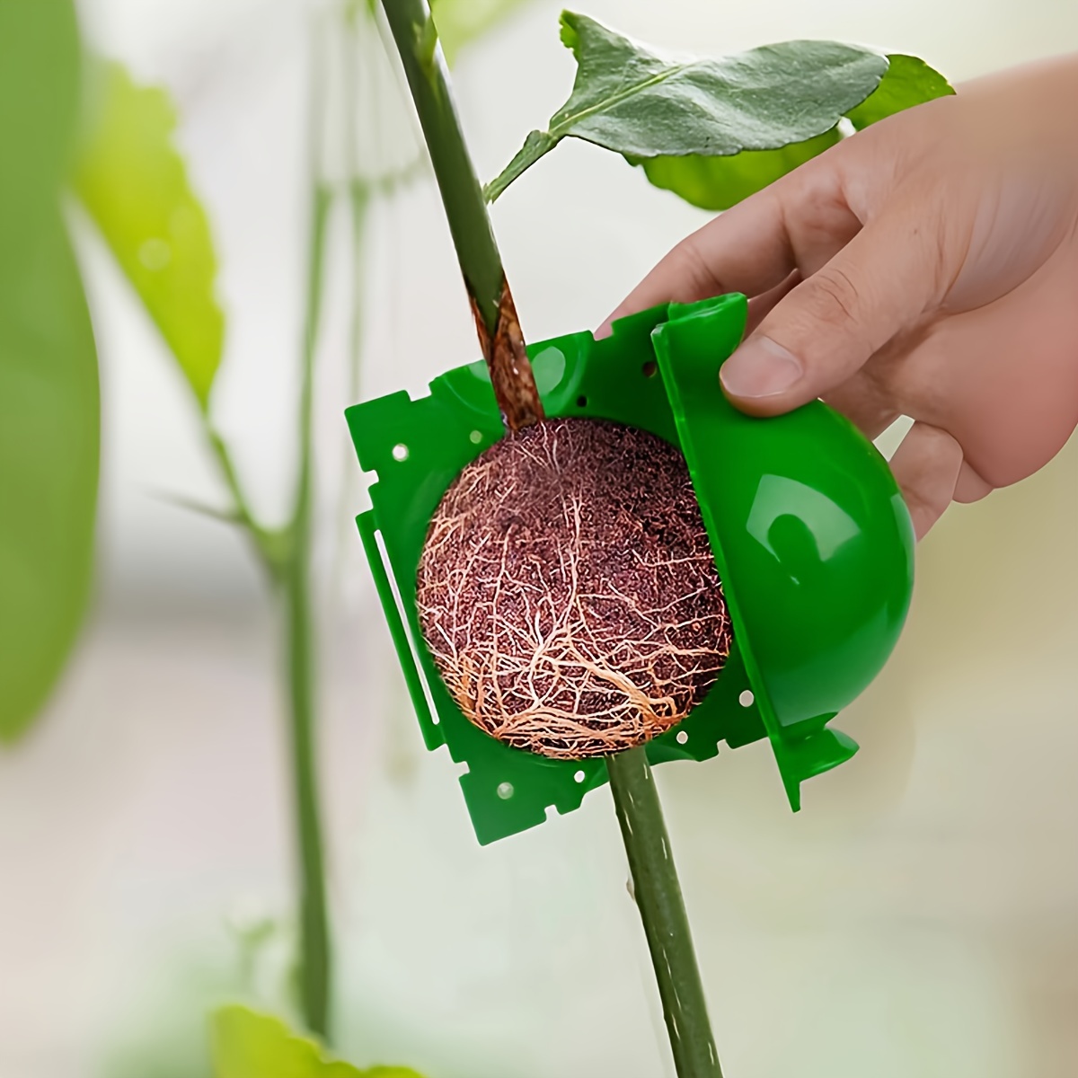 

1pc, Root Growth Box & Root Ball Grafting Tool & High Pressure Plant Propagation & Air Layered Pod & Plant Cutting Ball Grafting Device