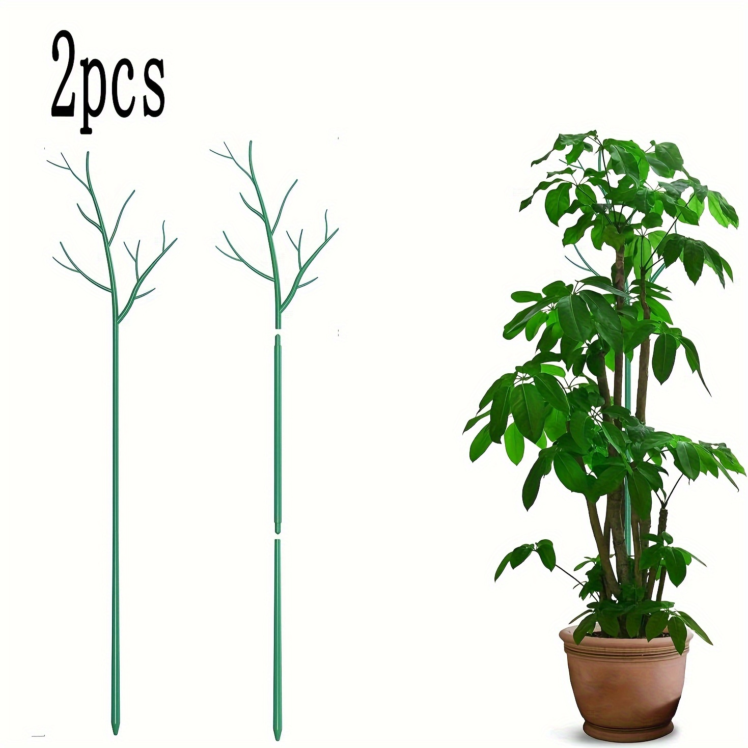 Plant Supports For Tall Plants Temu