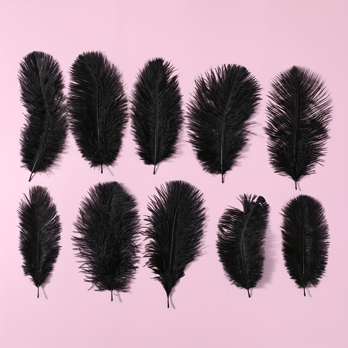 Black/white Feather Natural Ostrich Feathers Bulk For - Temu