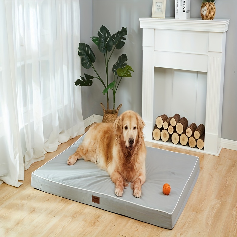 Cama ortopédica para perro, cama impermeable para perros con funda  extraíble lavable, cama duradera para perros, cama de espuma viscoelástica  para