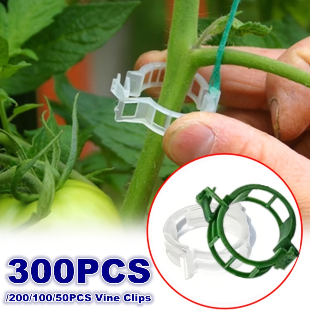 100 Pcs Plastic Plant Fixing Clips Grape Tomato Support Clips Rack