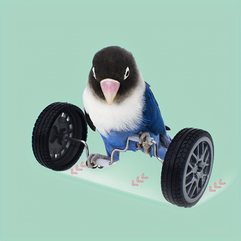 Temu　鳥のおもちゃ鳥の知能トレーニングおもちゃ、インコのパズルバランスカーのおもちゃ、インコの教育用テーブルトップトリックプロップのおもちゃ、ペット鳥の足の爪のおもちゃ　Japan