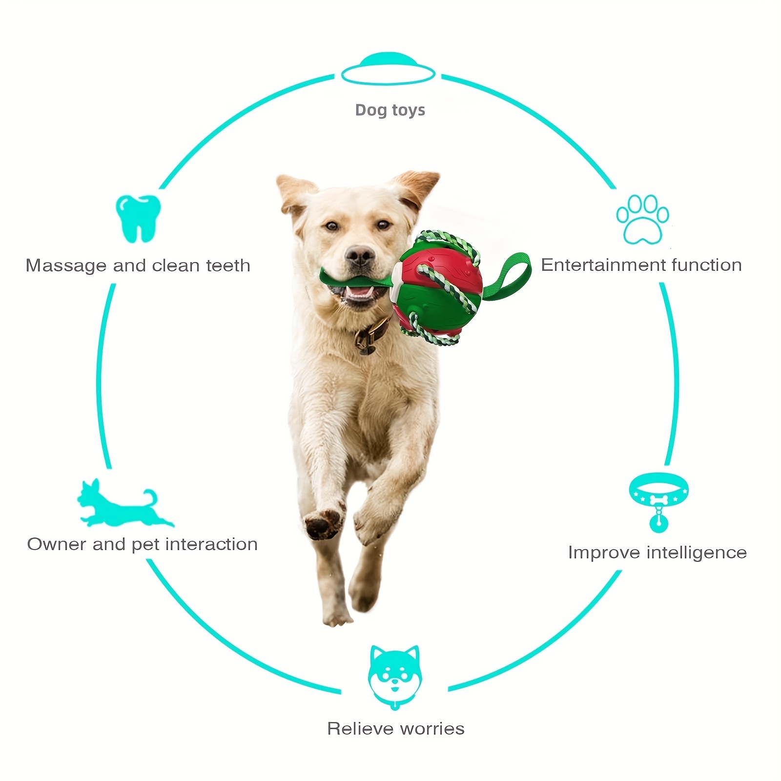 Interactive Dog Toy Ball Bite Resistant Tough Rubber Football Toy