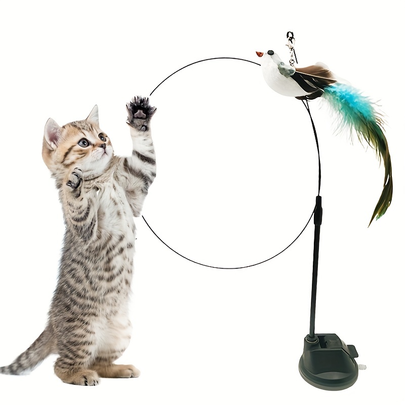 Simulation Bird Interactive Cat Stick Toy with Suction Cup Funny Feather  Bird for Kitten Play Chase Exercise Cat Toy Supplies - AliExpress
