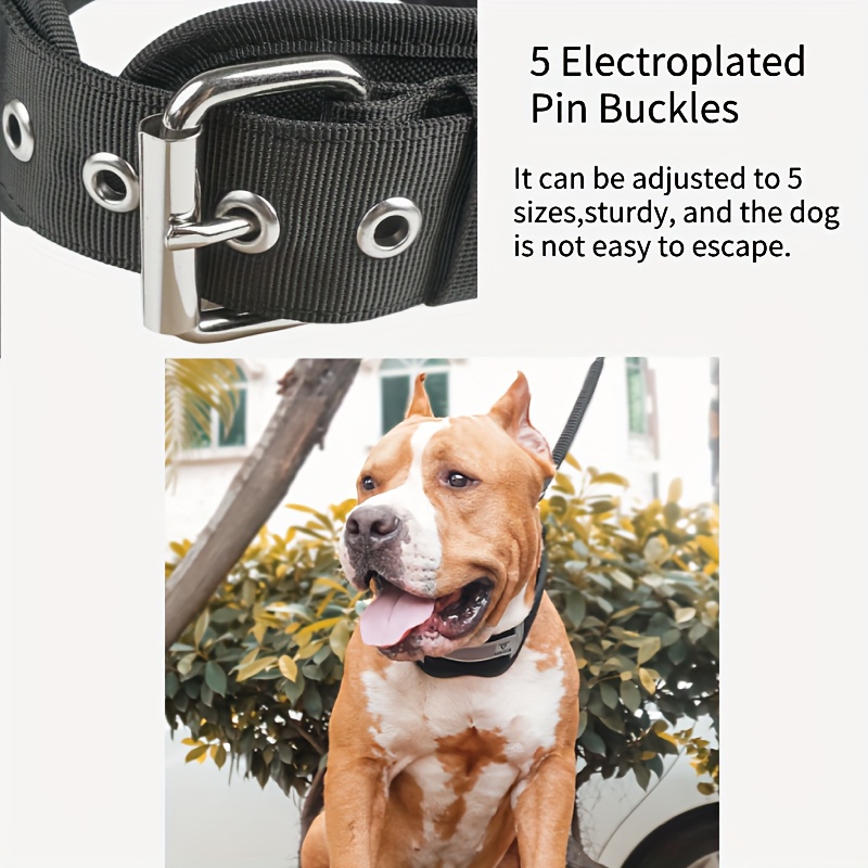 Nylon dog collar with handle best sale