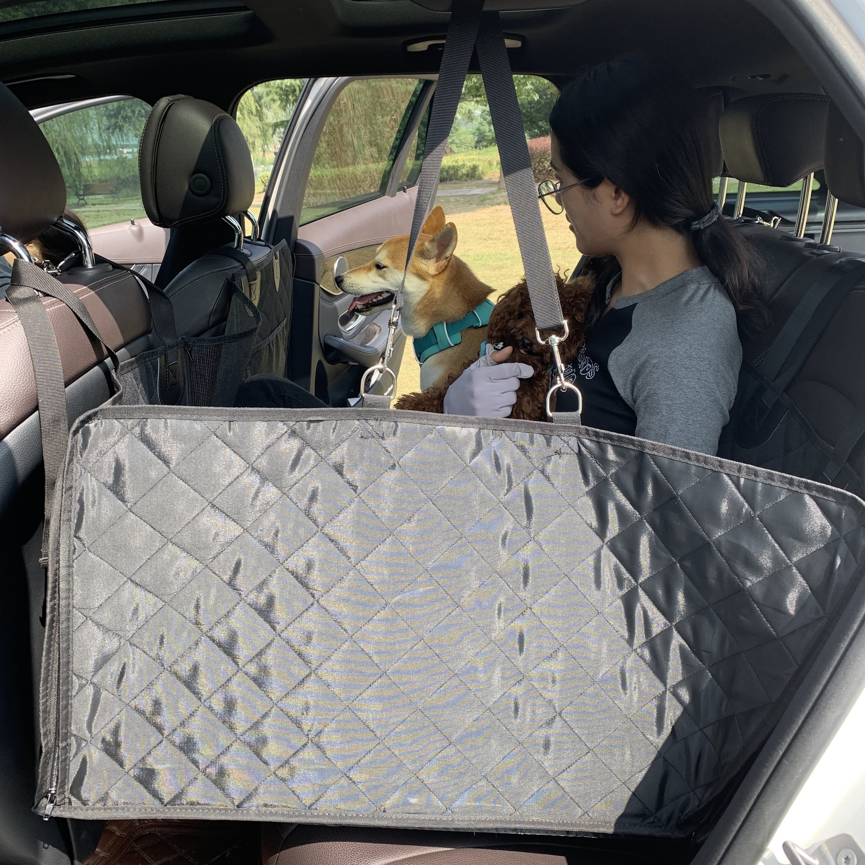 Housse de siège de chien housses de siège de voiture imperméables pour  animaux de compagnie housse de siège arrière avec fenêtre en maille, housse  de siège arrière de chien pour voitures camions