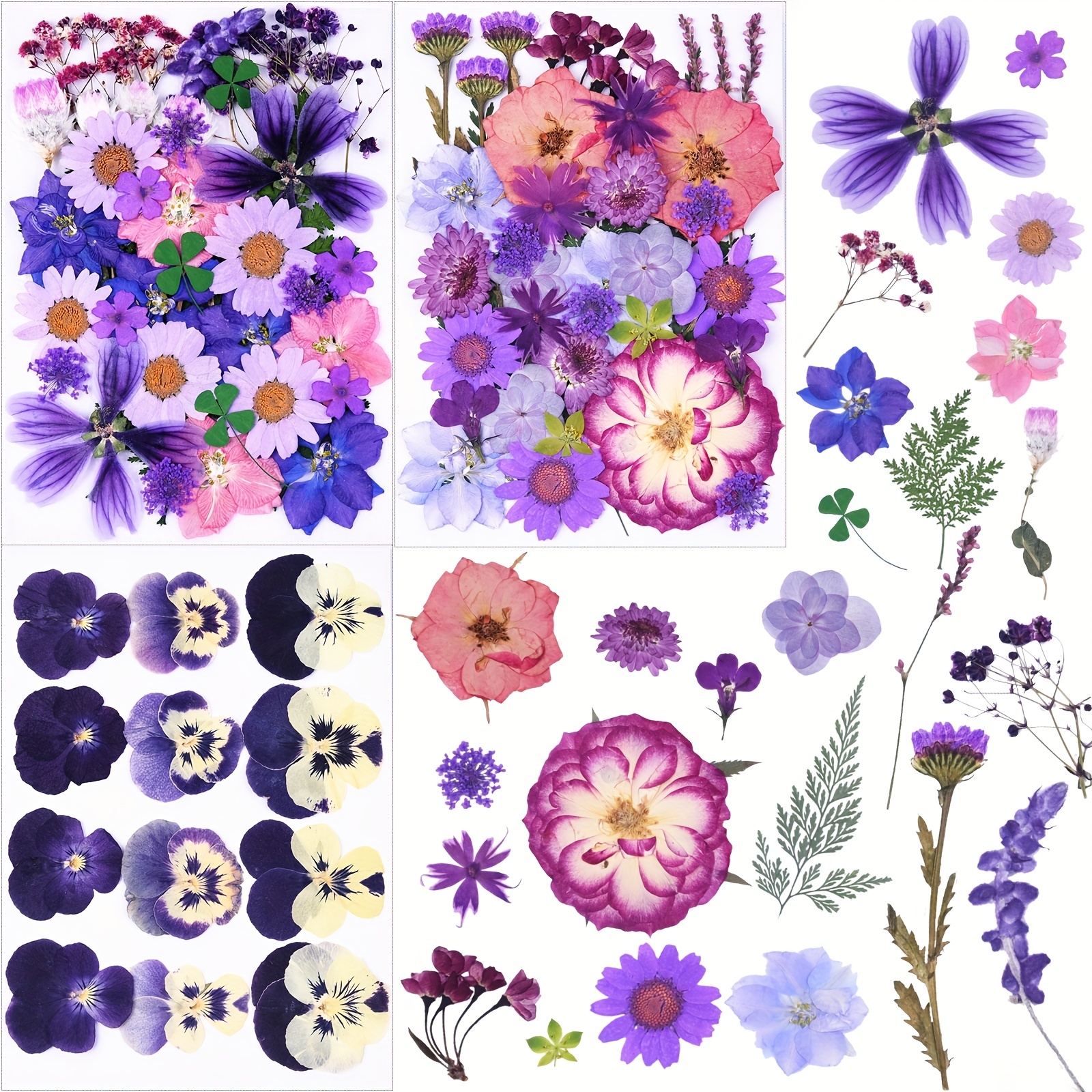 Diy Flowers For Crafts Vintage Dried Flowers For Notebook Clip Art