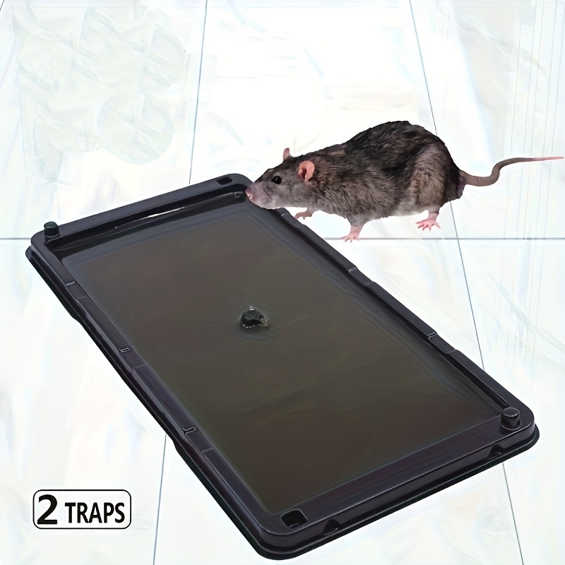 Catchmaster Mouse & Insect Glue Traps 40-Pk, Adhesive Rodent & Bug Catcher, Pre-Scented Mouse Traps Indoor for Home, Sticky Glue